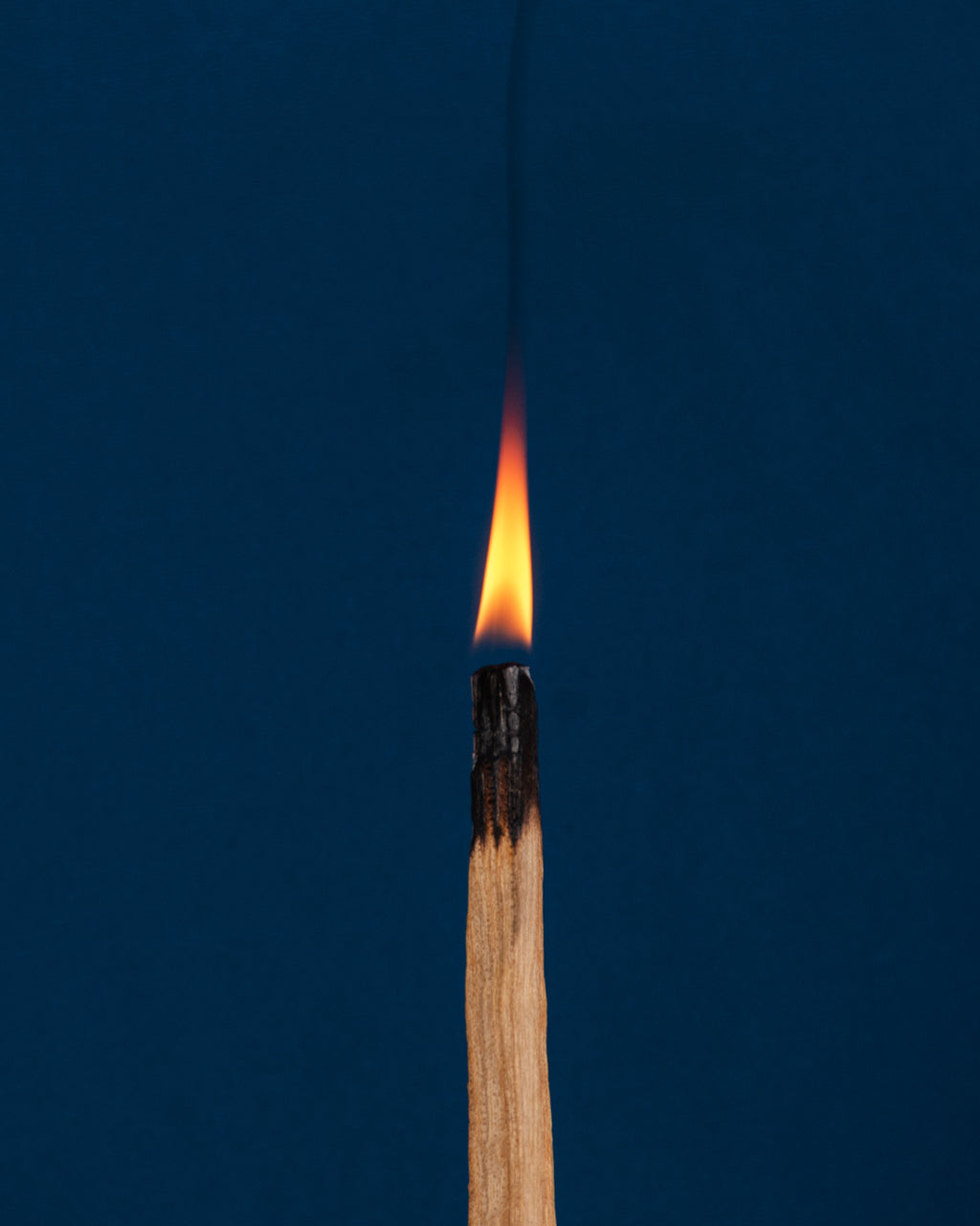 Palo Santo – Holy Wood Smudge Stick