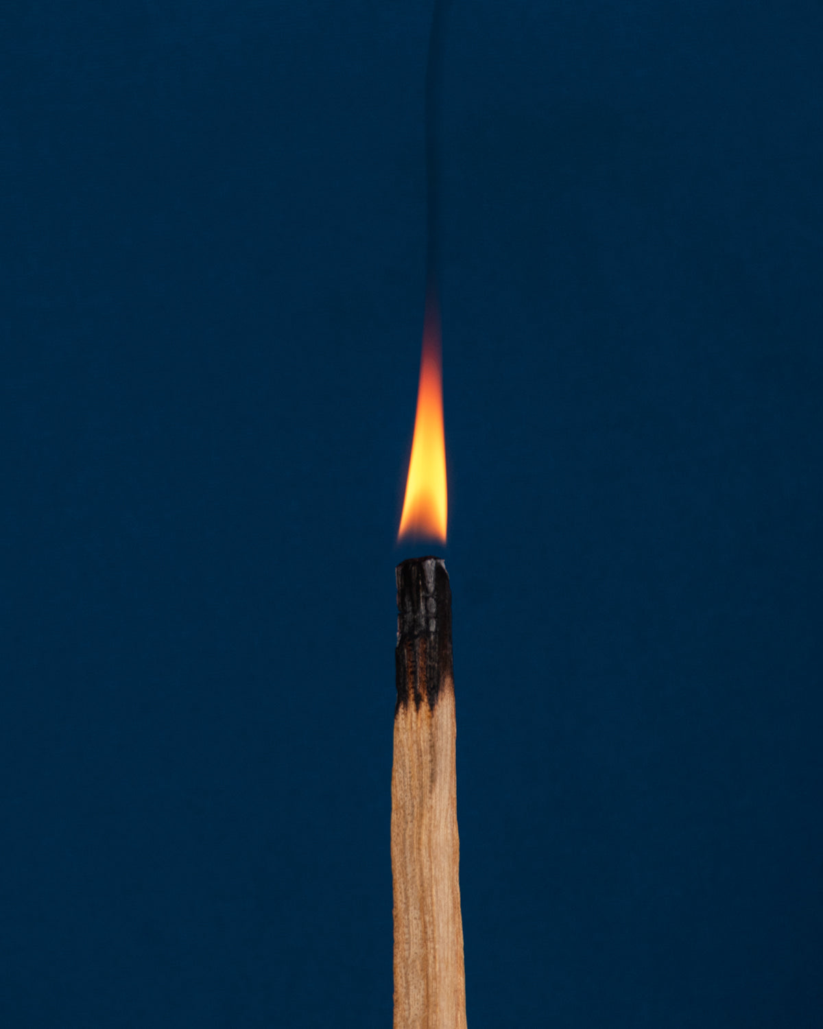 Palo Santo – Holy Wood Smudge Stick