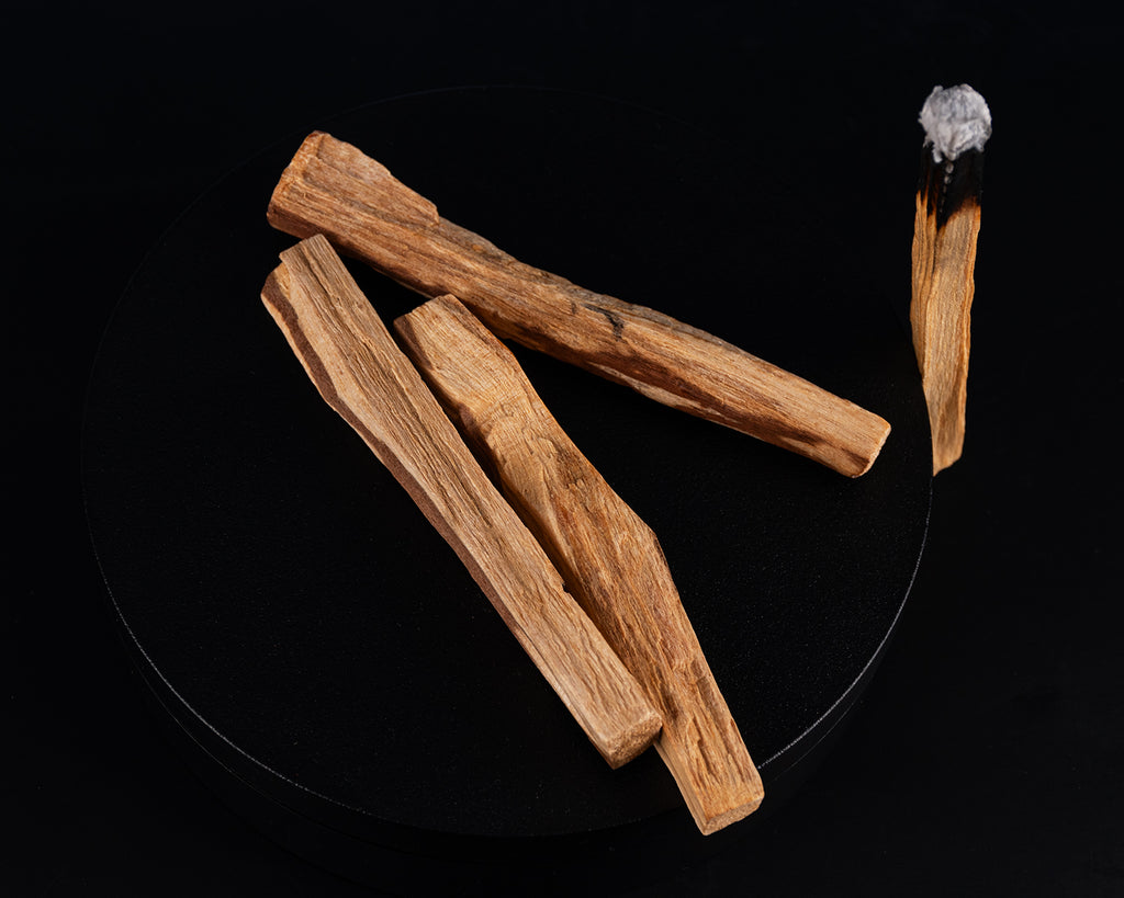 Palo Santo – Holy Wood Smudge Stick