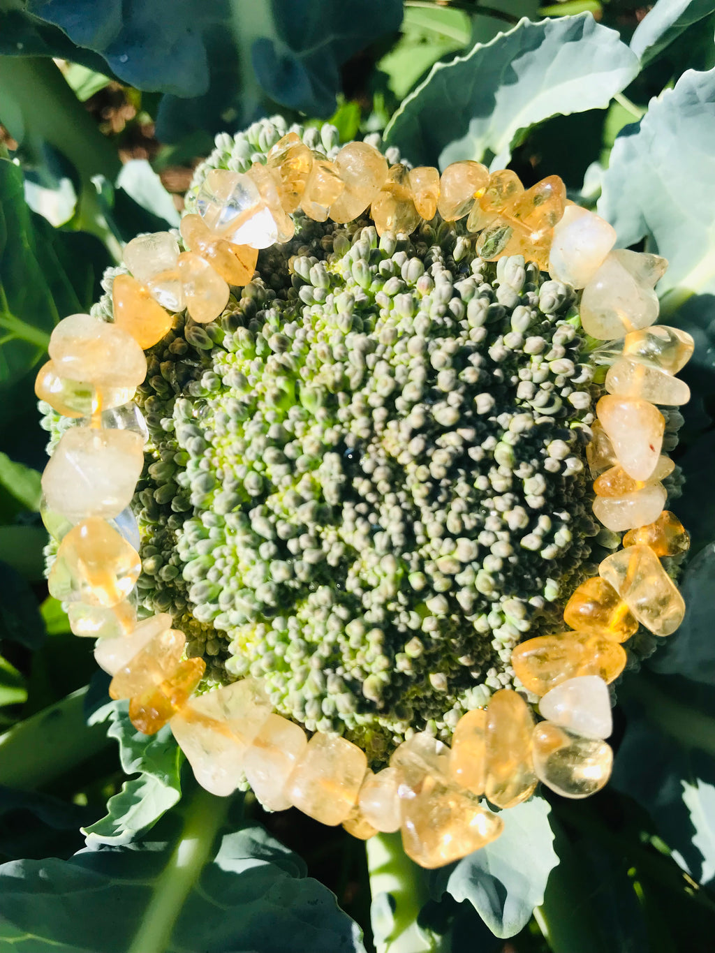 Chipped Citrine Bracelet