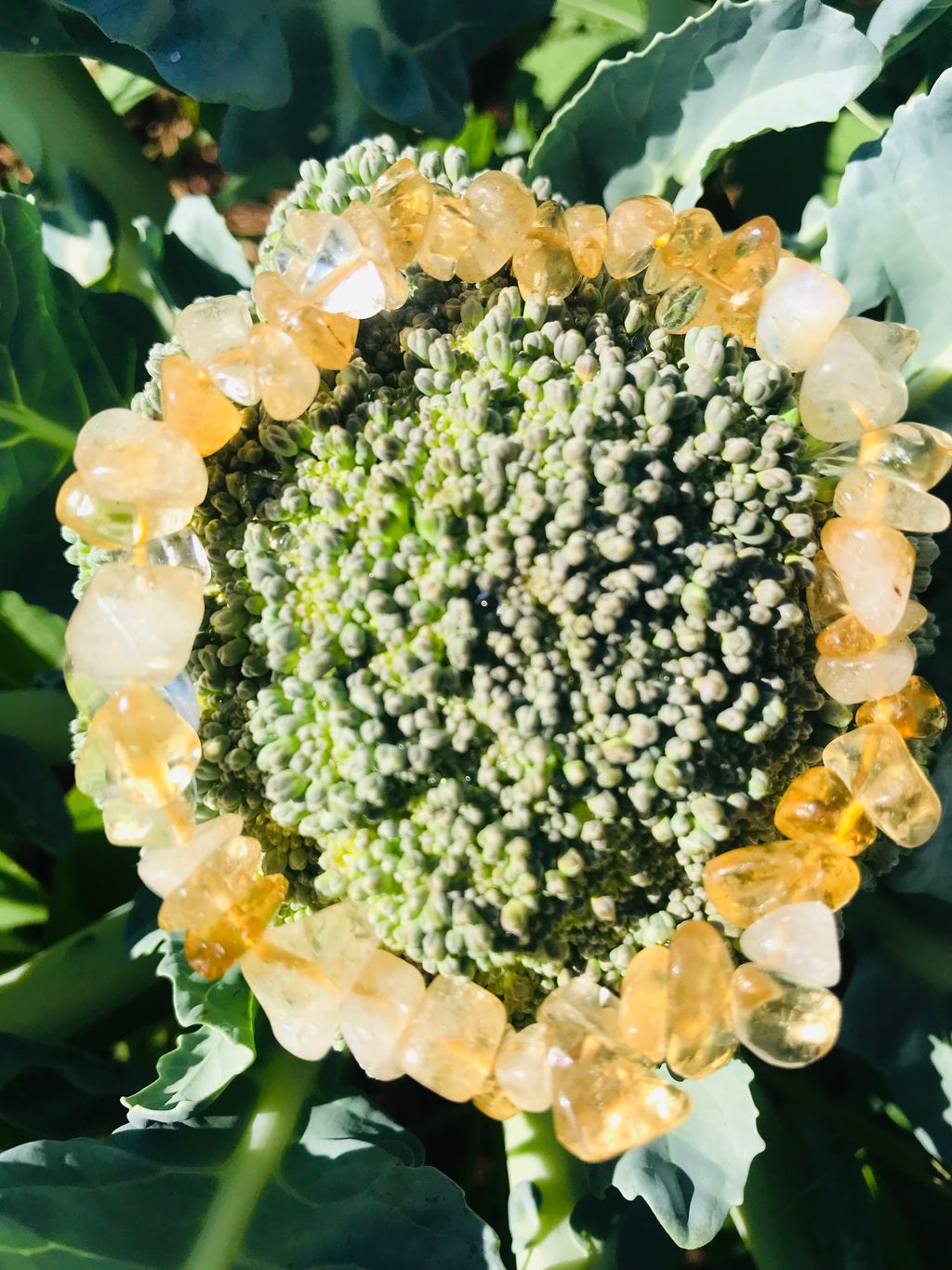 Chipped Citrine Bracelet