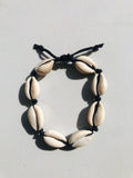 Cowrie shells
